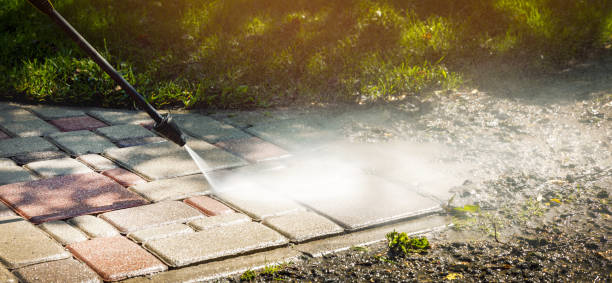 Best Roof Cleaning and Mildew Removal in Smithfield, VA